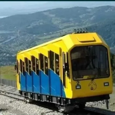 Baliowy Zar Nad Jeziorem W Miedzybrodziu Villa Miedzybrodzie Zywieckie