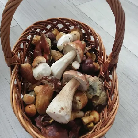 Villa Baliowy Zar Nad Jeziorem W Miedzybrodziu *