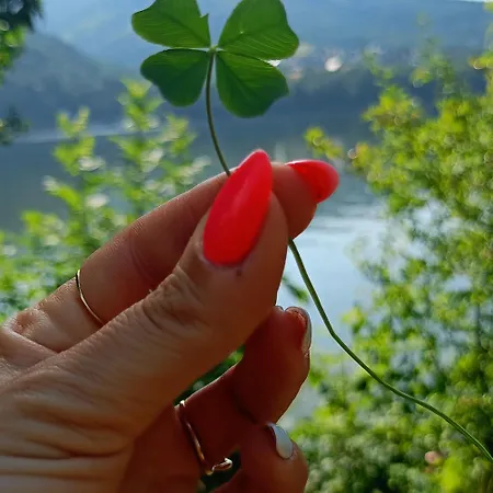 Villa Baliowy Zar Nad Jeziorem W Miedzybrodziu Miedzybrodzie Zywieckie