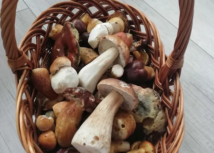 Villa Baliowy Zar Nad Jeziorem W Miedzybrodziu *