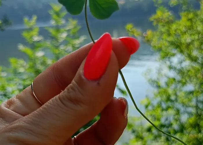 Villa Baliowy Zar Nad Jeziorem W Miedzybrodziu Miedzybrodzie Zywieckie